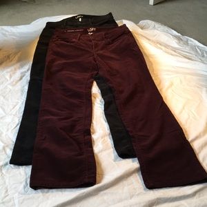 Ann Taylor Loft Modern Straight pants